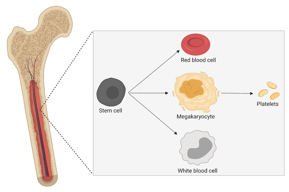Scientists reveal key insights into drug resistance in